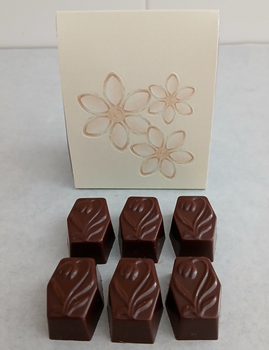 Pochette « Fleurs » + 6 pralines TULIPE en chocolat NOIR ONCTUEUX 60% BIO sans allergènes Exquidia : 49 grammes