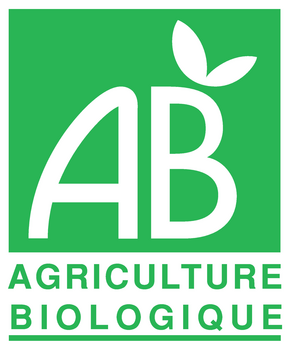FLOCONS de sarrasin BIO vegan sans allergènes sans maïs Exquidia : 250 grammes