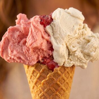1 CORNET DE GLACE vegan sans gluten sans lait sans oeufs sans coque sans arachide PIACERI MEDITERRANEI : 22g