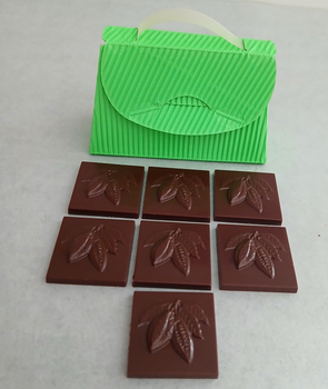 7 carrés de chocolat NOIR 60% napolitain (+ cabosses) BIO vegan sans allergènes Exquidia : 35g