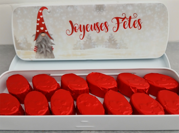 Boîte « Joyeuse Fêtes » + 13 pralines ÉTOILÉES en chocolat NOIR ONCTUEUX 60% BIO sans allergènes Exquidia : 169g