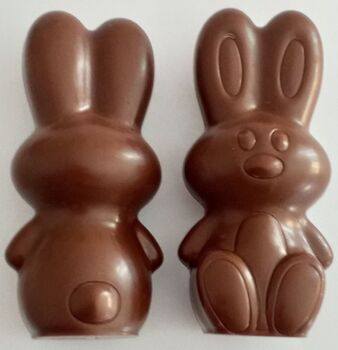 LAPIN CREUX en chocolat Alternative au lait (sans lait) BIO vegan sans allergènes Exquidia : 50 grammes