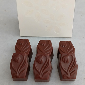 Pochette « Fleurs » + 6 pralines TULIPE en chocolat  ALTERNATIVE au lait (sans lait) BIO vegan sans allergènes : 49g