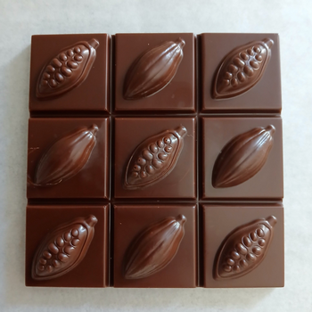 TABLETTE carrée avec cabosses en chocolat NOIR (55%) (origine Pérou) BIO sans allergènes Allergoora : 92g