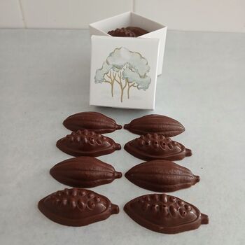 Coffret Arbre + 8 cabosses en chocolat NOIR 55% (origine Pérou) BIO sans allergènes Allergoora : 54g