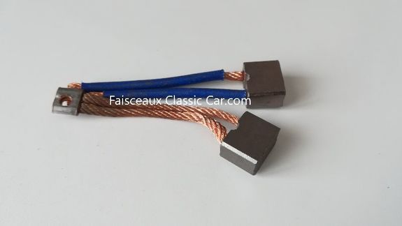 Balais démarreur Paris Rhône