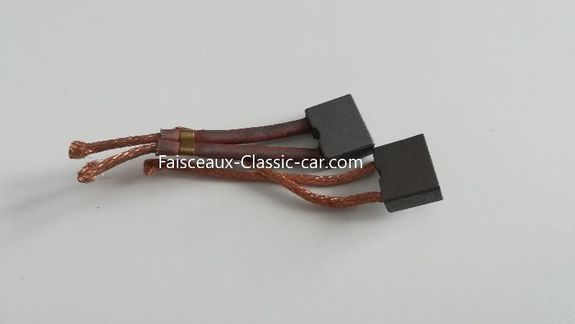 Balais démarreur Paris Rhône