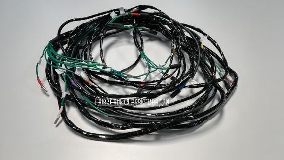 Faisceau habitacle DS 21 66/70