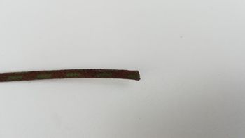 Fil coton tressé marron/vert 1²