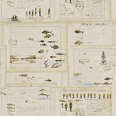 Ralph Lauren papier peint Captains Log Parchment
