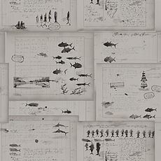 Ralph Lauren papier peint Captains Log Smoke