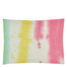Designers Guild cushion Brera Arte Fuchsia