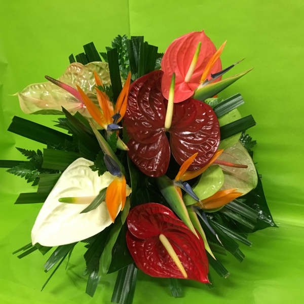 Bouquet Fleurs Exotiques Bouquet Fleurs Exotiques