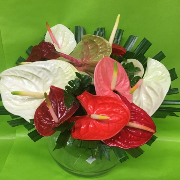 Bouquet d anthuriums
