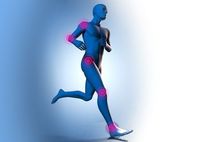 Comment une articulation est-elle structurée