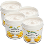 Lot de 4 Baumes de pommes de terre