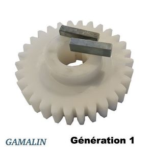 LA TOULOUSAINE- PIGNON 30 DENTS G1