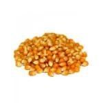 Mais à éclater  sac de 25 kg " MUSHROON"