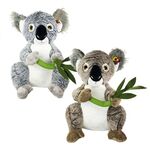 KOALA AVEC CANNE