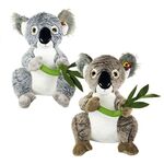 KOALA AVEC CANNE