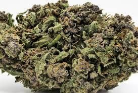FLEURS CBD BLUEBERRY BZ