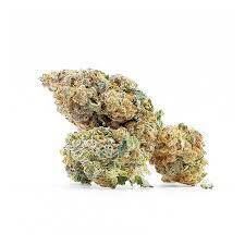 FLEURS CBD ORANGE BUD  HE