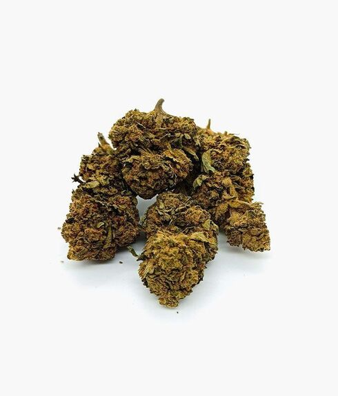 FLEUR CBD MANGO**
