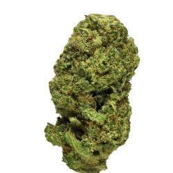 FLEURS CBD SOUR TANGERINE