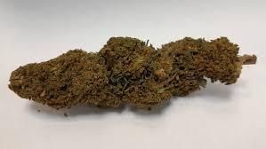 FLEUR CBD FORBIDDEN LEMON