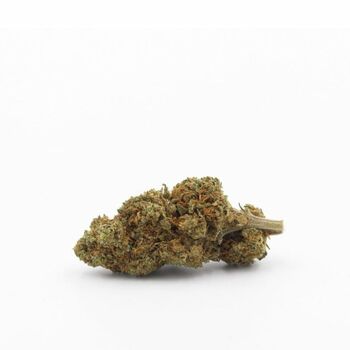 FLEUR CBD ALIEN KUSH