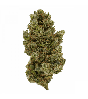 FLEURS CBD xXx LEMON ****