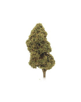 FLEURS CBD CANDY MELON