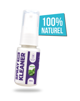 SPRAY KLEANER MENTHE