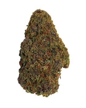 FLEURS CBD MOCHILATO ***