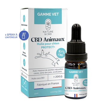 HUILE CBD CHIEN PROTECT+ 10% – 1000 MG