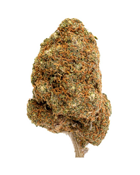 FLEURS CBD ORANGE BUD