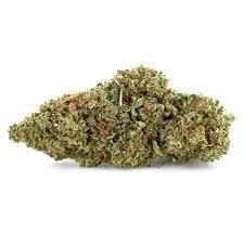 FLEURS CBD GELATO ***
