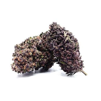 FLEURS CBD PURPLE RAIN ***