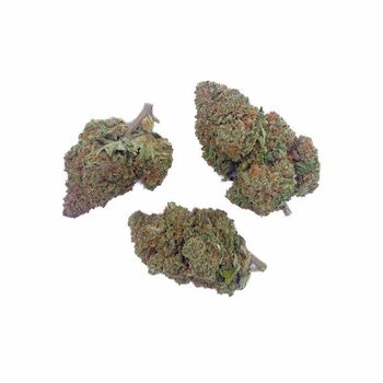 FLEURS CBD GIRL SCOOT COOKIE **