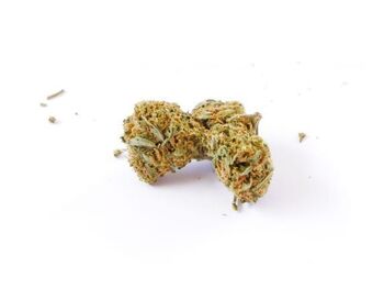 FLEURS CBD HARLEQUIN