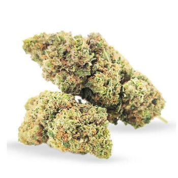FLEURS CBD RUNTZ