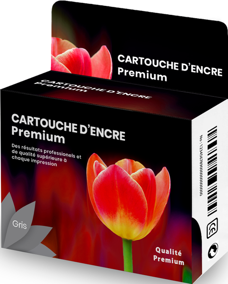 Générique CANON PFI-1700 GY