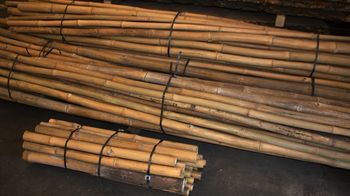 L'OR VERT Ø 40-60 mm. Longueur 1m (envoi DPD) ou 5m (disponible sur place au dépôt). 02 32 55 06 10 ou 06 63 33 49 30