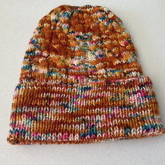 Bonnet AUGUSTIN tricoté à la main avec torsades et revers couleur guppy