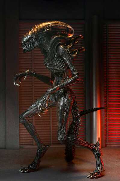 Alien: Romulus figurine Ultimate Scorched Xenomorph NECA
