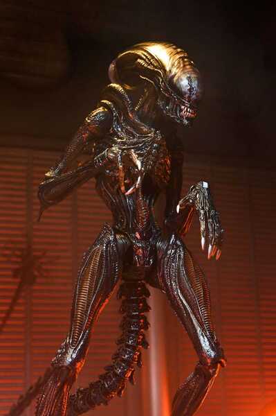 Alien: Romulus figurine Ultimate Scorched Xenomorph NECA