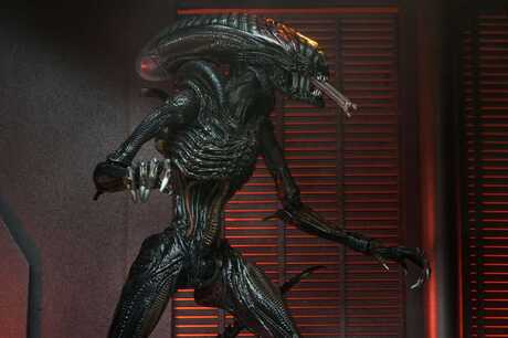 Alien: Romulus figurine Ultimate Scorched Xenomorph NECA