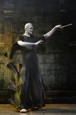 Harry Potter Legacy Collection Voldemort Af NECA