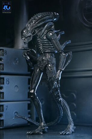 Aliens figurine Ultimate 40th Anniversary Warrior Xenomorph Black NECA