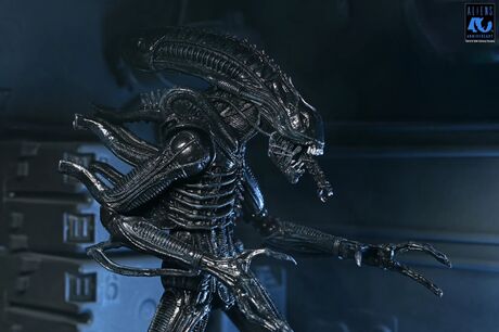 Aliens figurine Ultimate 40th Anniversary Warrior Xenomorph Black NECA